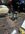 IMG_2060.jpeg