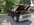 IMG_7182.jpeg