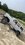 IMG_4948.jpeg