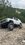 IMG_4940.jpeg