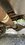 IMG_4932.jpeg