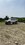 IMG_4930.jpeg