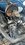 IMG_2053.jpeg