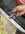 IMG_8293.jpeg