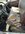 IMG_8036.jpeg