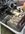 IMG_8038.jpeg