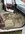 IMG_8071.jpeg