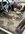 IMG_8072.jpeg