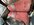IMG_8080.jpeg