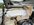 IMG_8374.jpeg