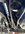IMG_8280.jpeg