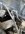 IMG_1196.jpeg
