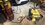 IMG_2072.jpeg