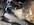 IMG_8441.jpeg