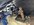 IMG_8442.jpeg
