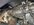 IMG_8444.jpeg