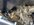 IMG_8445.jpeg