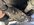 IMG_8446.jpeg