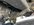 IMG_8447.jpeg