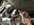 IMG_8453.jpeg