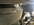 IMG_8461.jpeg