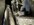 IMG_8471.jpeg