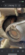 IMG_6686.png
