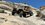IMG_2094.jpeg