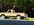 IMG_4491.jpeg