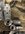 IMG_8409.jpeg