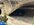IMG_2100.jpeg