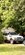 IMG_6810.jpeg