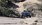 IMG_2173.jpeg