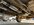 IMG_0564.jpeg