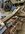 IMG_8418.jpeg