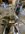 IMG_8419.jpeg