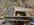 IMG_8420.jpeg