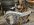 IMG_8422.jpeg
