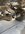 IMG_8428.jpeg