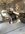 IMG_8427.jpeg