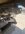 IMG_8426.jpeg