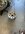 IMG_0572.jpeg