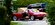 IMG_7036.jpeg