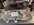 IMG_0585.jpeg