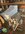 IMG_7132.jpeg