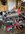 IMG_7149.jpeg