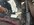 IMG_7126.jpeg