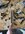 IMG_7128.jpeg