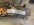 IMG_8445.jpeg