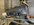 IMG_8444.jpeg